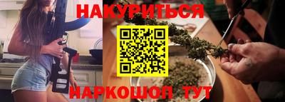 индика Обь