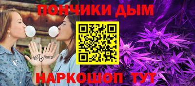 индика Обь