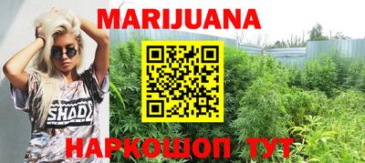 индика Обь